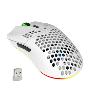 kf S9c8e8e334dfb4ddfb1edb4b175aebbc2t HXSJ T66 RGB 2 4G Wireless Gaming Mouse RGB Lighting Charging Mouse with Adjustable DPI Ergonomic at Window Shopping